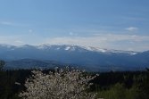 Panorama z Bobrowych Skał
