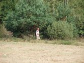 Na żółtym szlaku do Jedlnicy.
