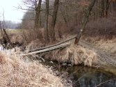 Koprzywiankę łatwo pokonuję. Nawet wiem że dobrą drogą idę.