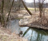 Meandrująca rzeka Koprzywianka.