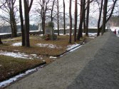 Reprezentacyjny Cmentarz Wojskowy nr 368 w Limanowej