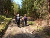Rozdroże Izerskie - Rozdroże pod Świerkowcem; szlak niebieski