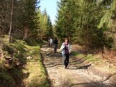 Rozdroże Izerskie - Rozdroże pod Świerkowcem; szlak niebieski