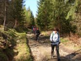 Rozdroże Izerskie - Rozdroże pod Świerkowcem; szlak niebieski