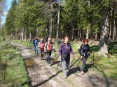Rozdroże Izerskie - Rozdroże pod Świerkowcem; szlak niebieski
