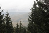 Rozdroże Izerskie - Rozdroże pod Kopą; szlak żółty