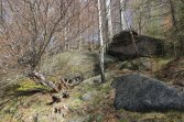 Hubertka - Tisina