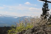 Panorama z Bobrowych Skał