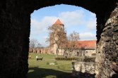 Zamek w Toszku.