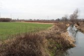 Dłubnia