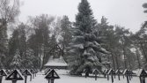 Cmentarz z I woj. św. na przełęczy Malastowskiej