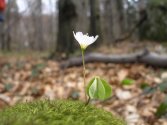 taki mały, a tyle uroku