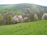Polana 691m nad Puławami Górnymi