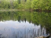 Jeziorka Duszatyńskie - górny stawek